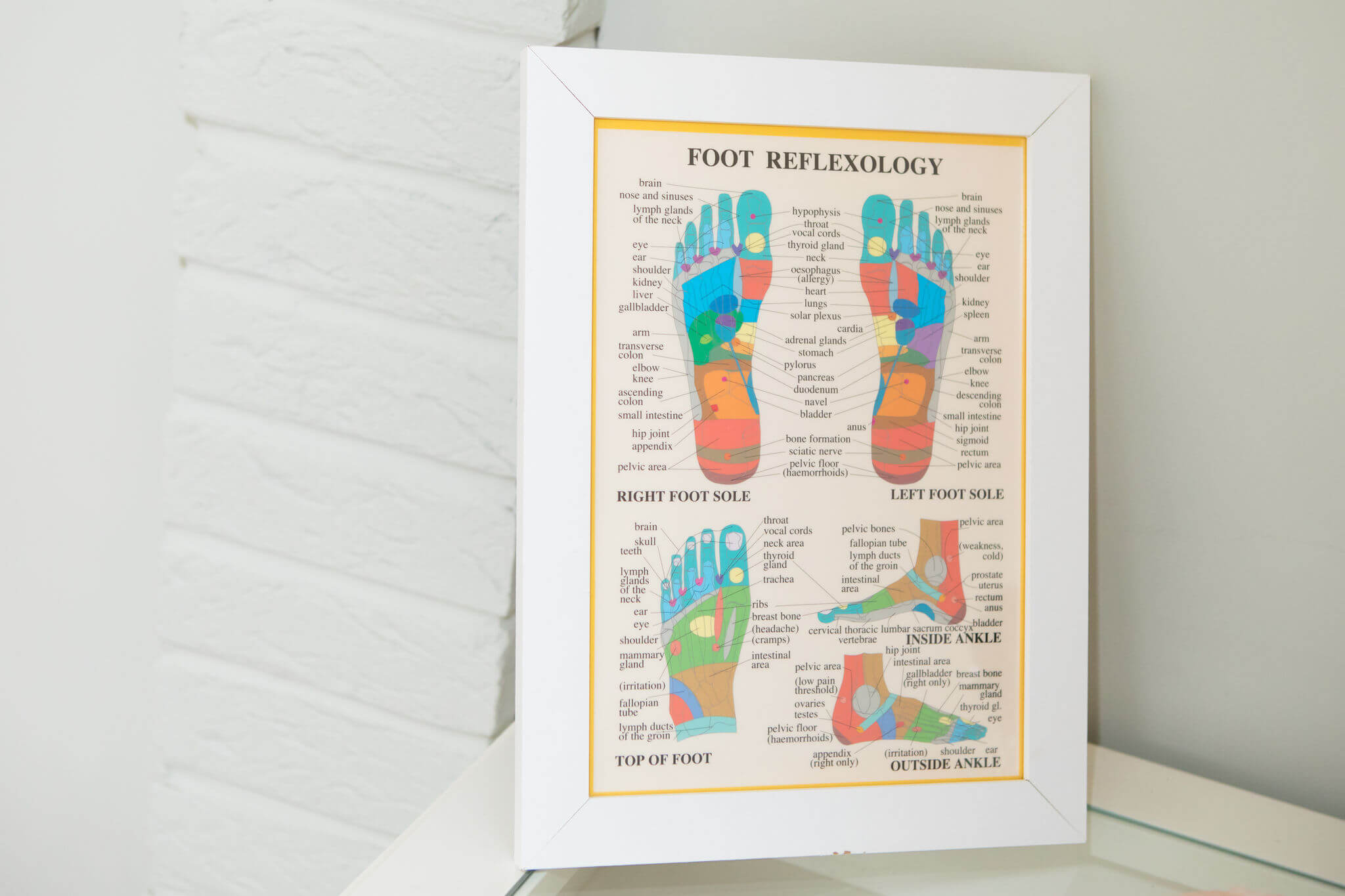Foot Reflexology Poster
